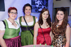 17650_2014_kirchhamer_ball_18