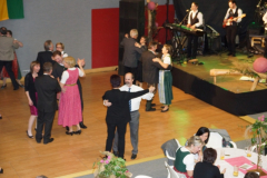 17689_2014_kirchhamer_ball_11