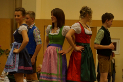 17836_2014_kirchhamer_ball_38